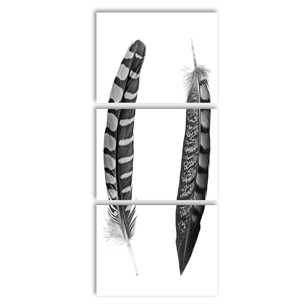 Two Curved Feathers Trilogy