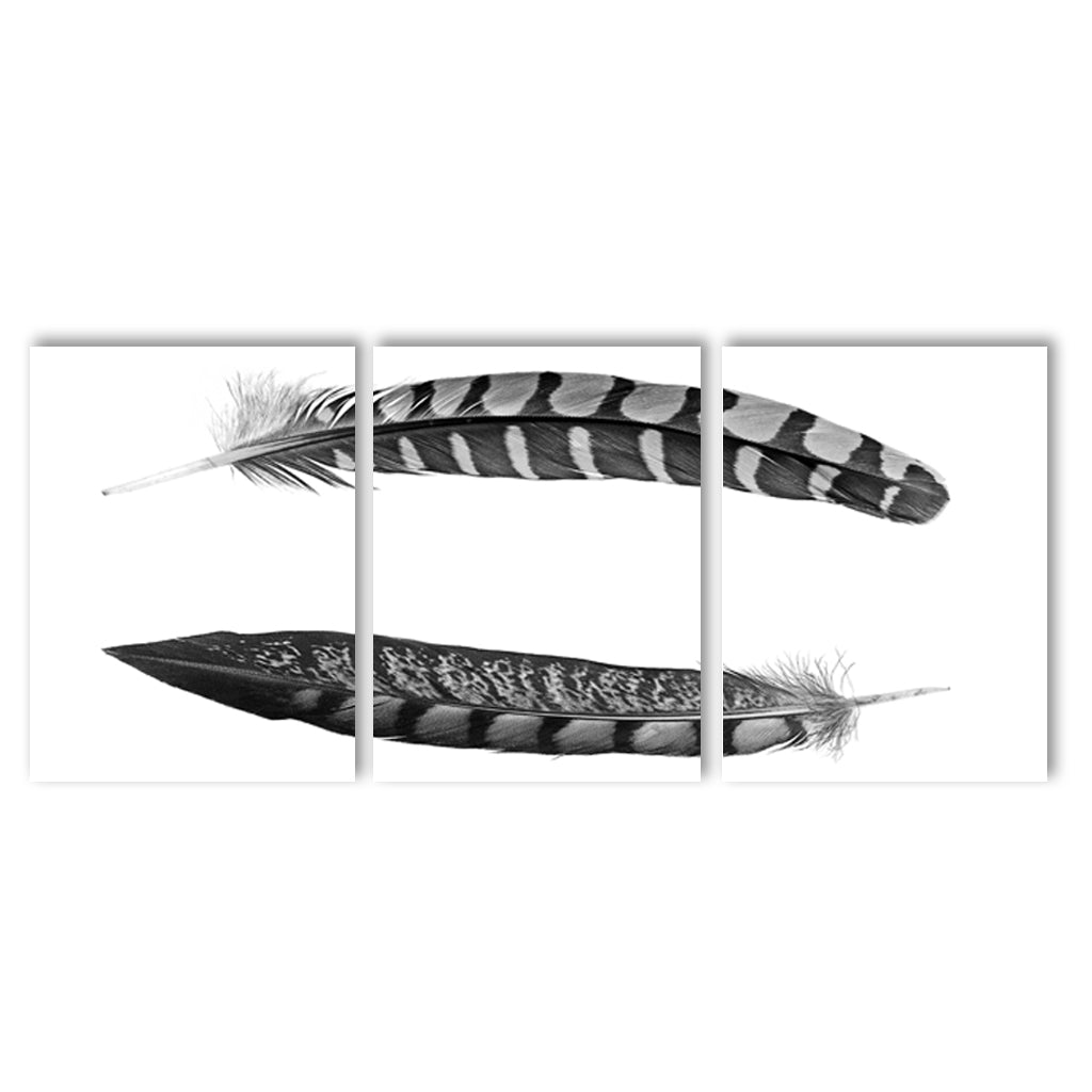 Two Curved Feathers Trilogy