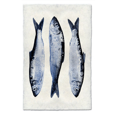 Three Herring coastal wall art print — fine art coastal photography on handmade paper, San Francisco