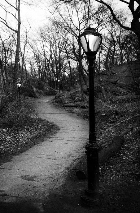 Four Lamp Dusk- Central Park, NY