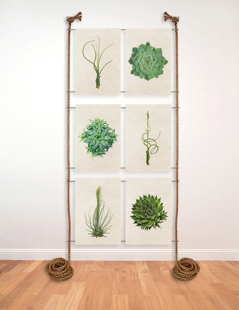 6 print rope and steel display - BARLOGA STUDIOS- fine photographs on ...