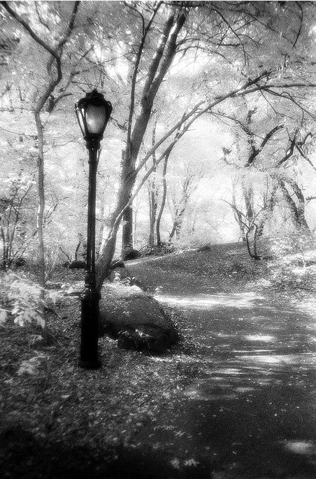 Alone- Central Park, NY