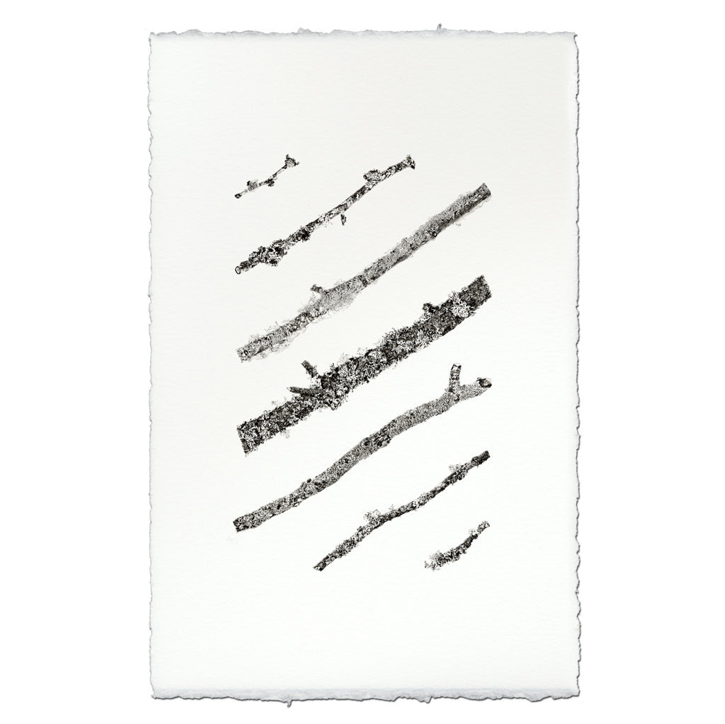 Angled Twigs #1