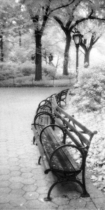 Bench and Lamp - Central Park, NY