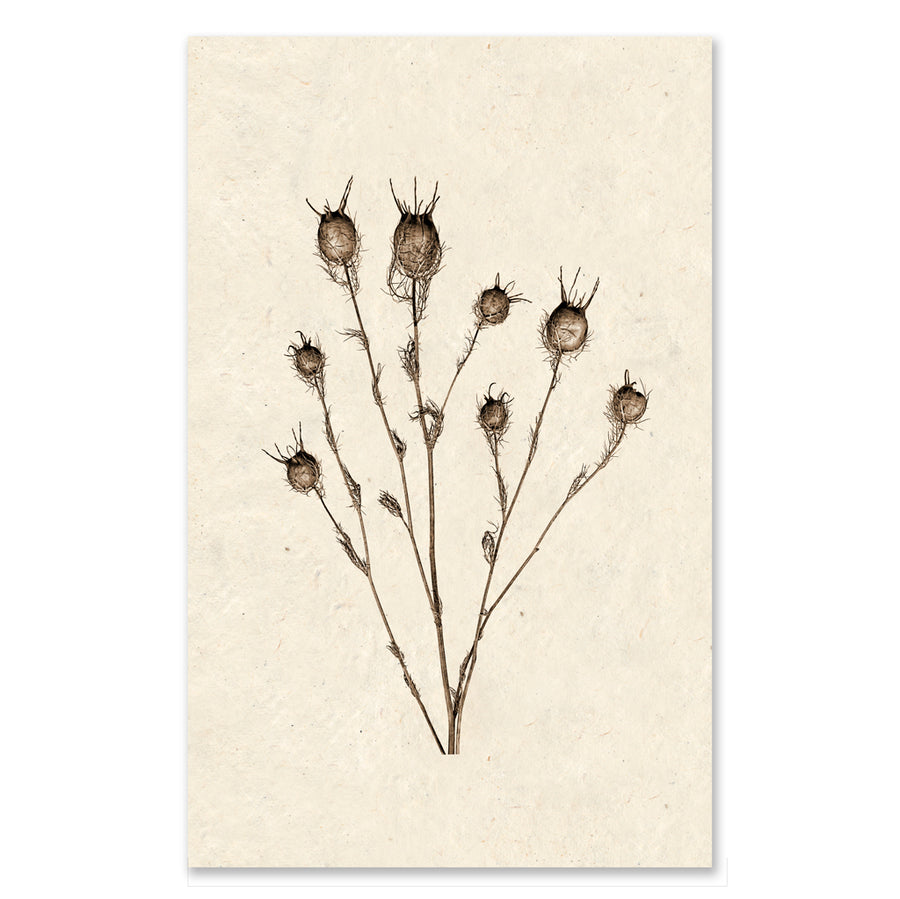 Bulb Form grand format