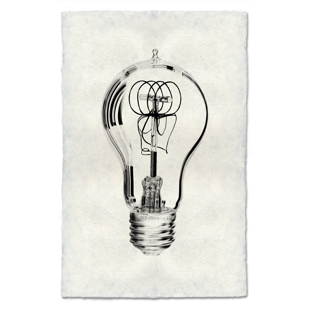 Victorian Bulb
