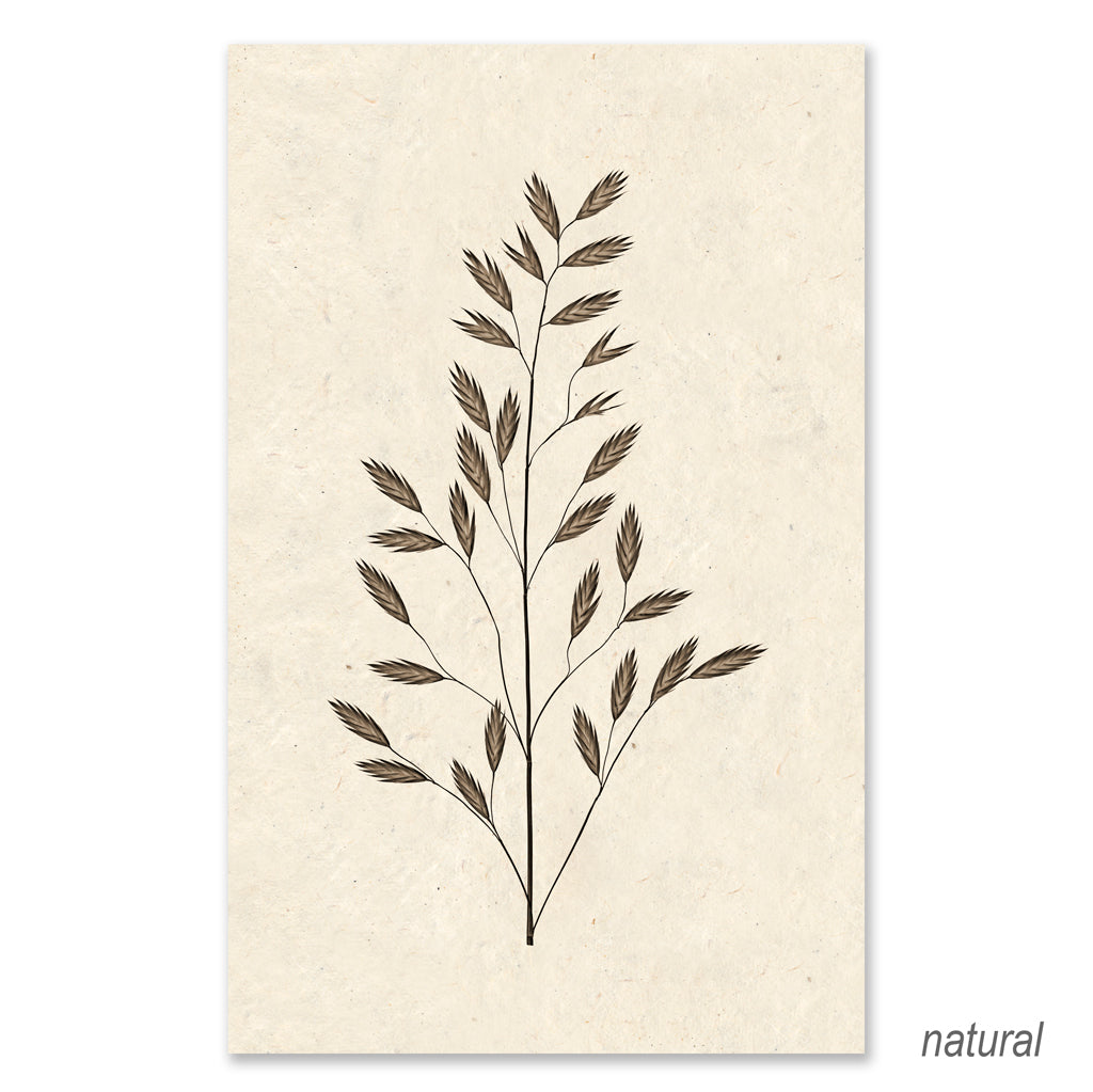 Burr Form #2 grand format