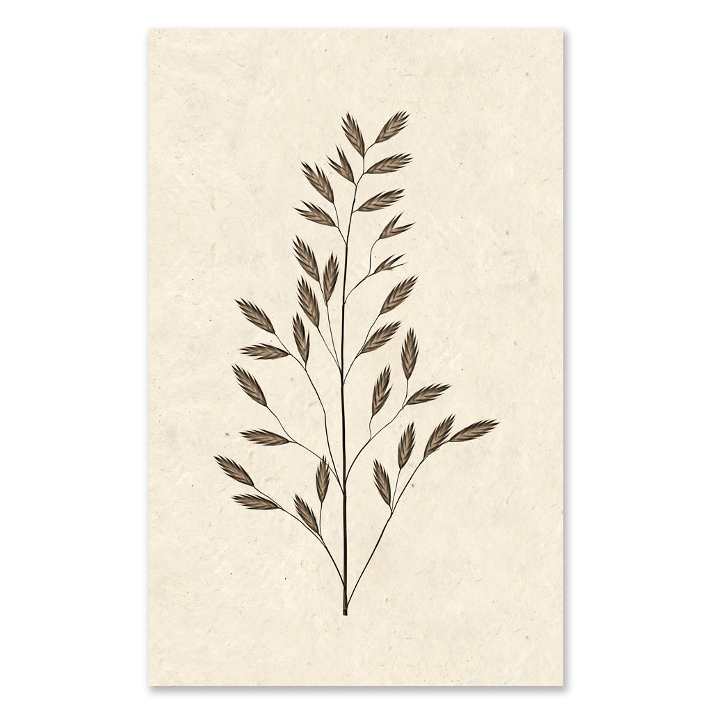 Burr Form #2 grand format