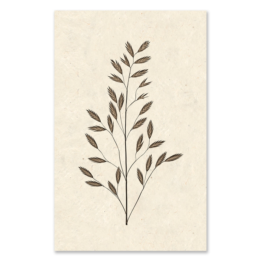 Burr Form #2 grand format