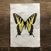 Butterfly #3 (Amate Perla)