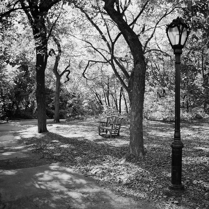 Central Park Summer - Central Park, NY
