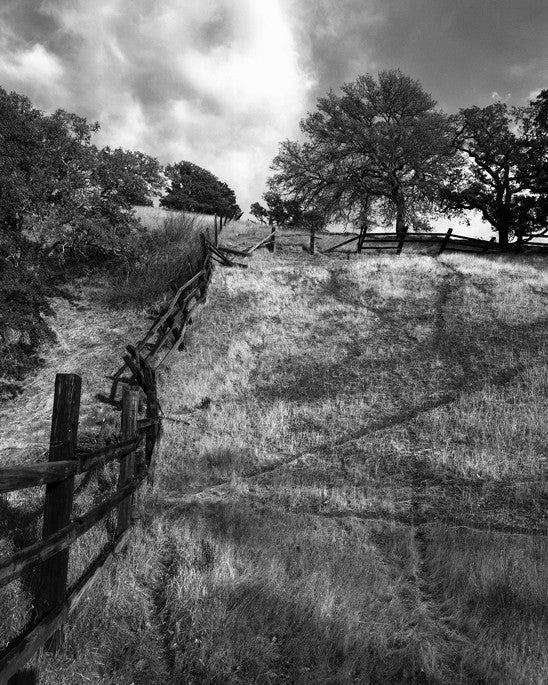 Crooked Fence, Mt. Diablo- Contra Costa, CA