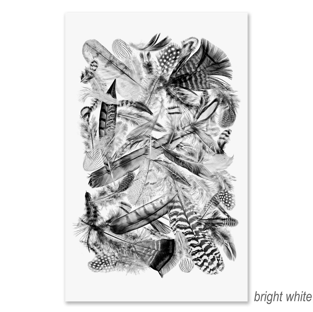 Collective Feathers Grand Format (black and white)