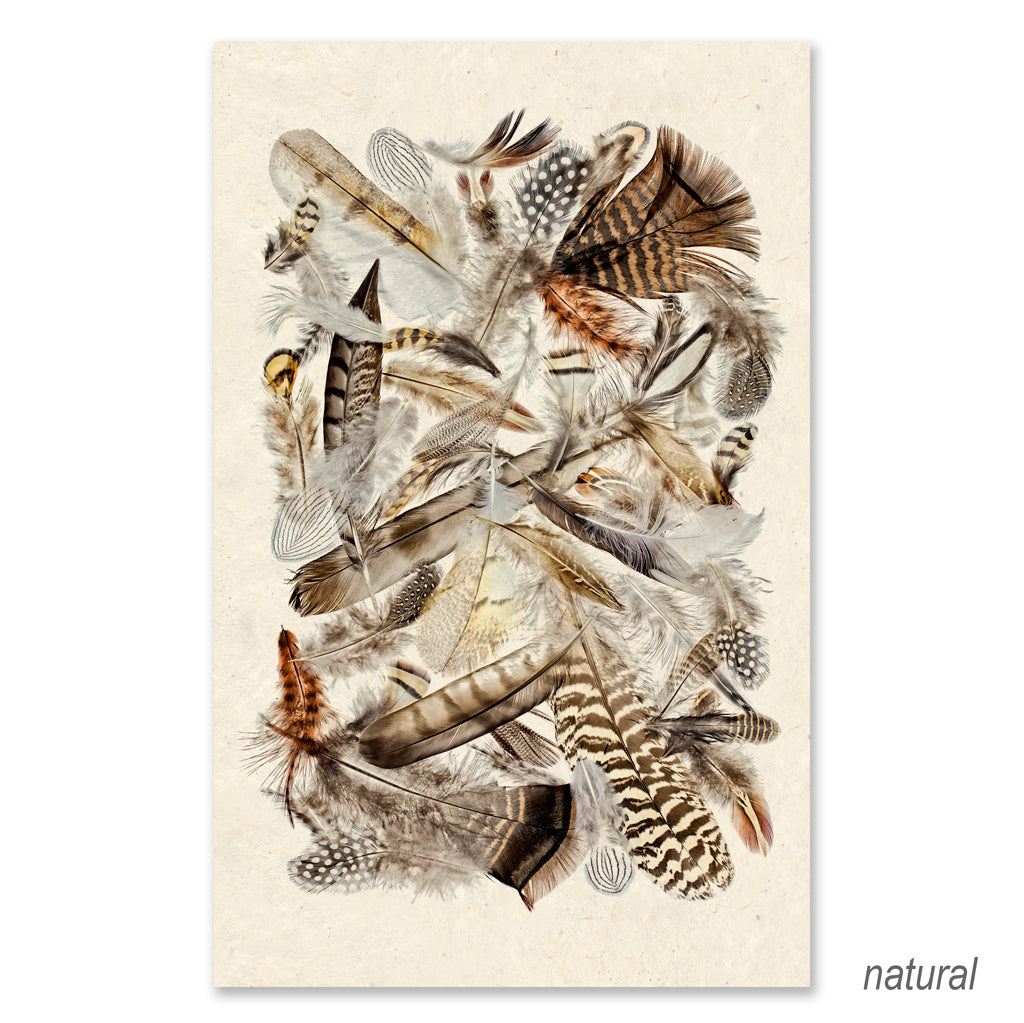 Collective Feathers Grand Format (color)