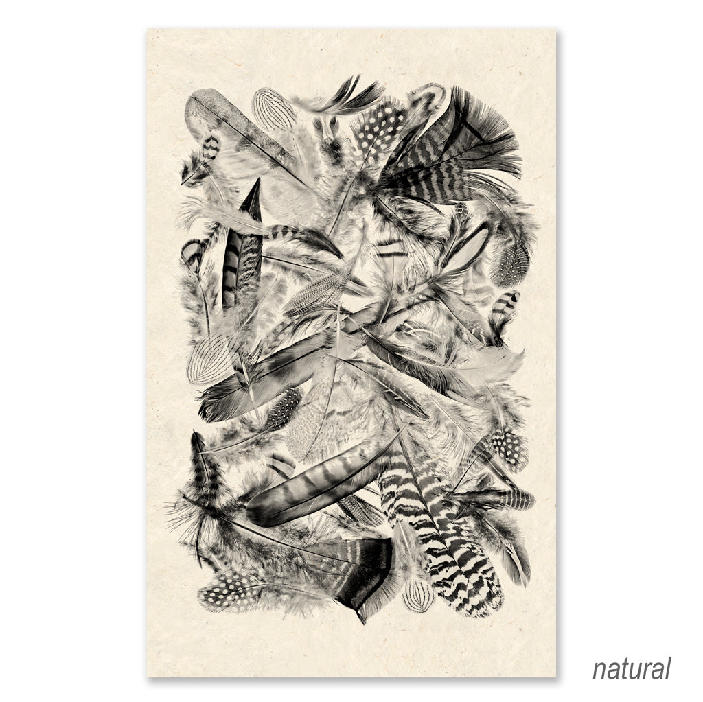Collective Feathers Grand Format (black and white)