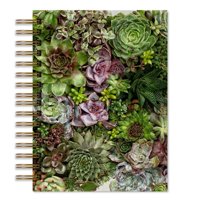 Collective Succulents Journal