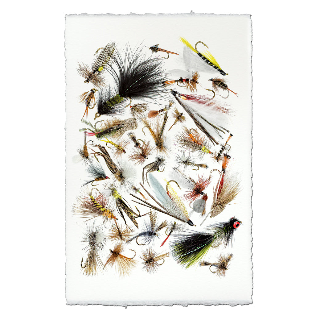 Collective Fishing Flies - BARLOGA STUDIOS- fine photographs on intriguing  papers