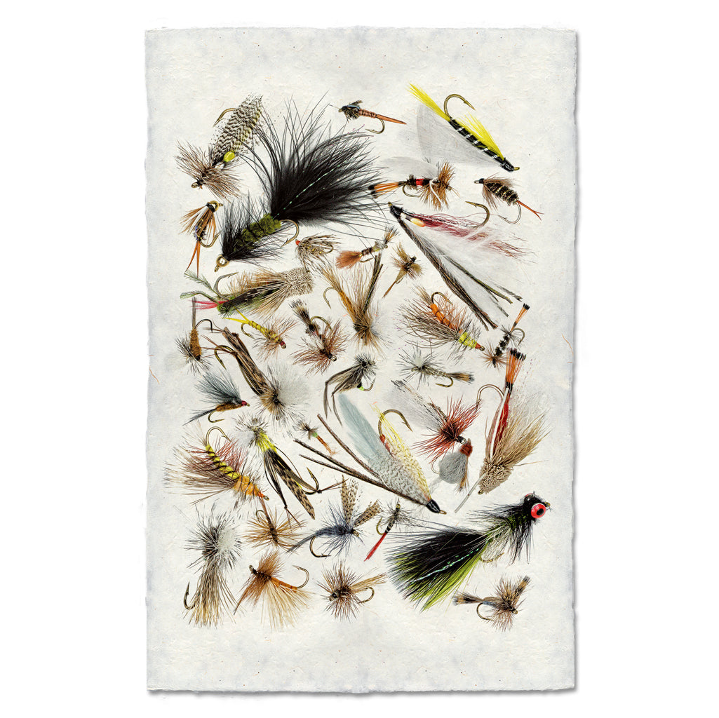 Collective Fishing Flies - BARLOGA STUDIOS- fine photographs on intriguing  papers