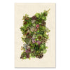 Collective Succulents grand format - 40x60" single sheet rag (natural)