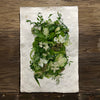 Green and White Collective (Amate Perla)