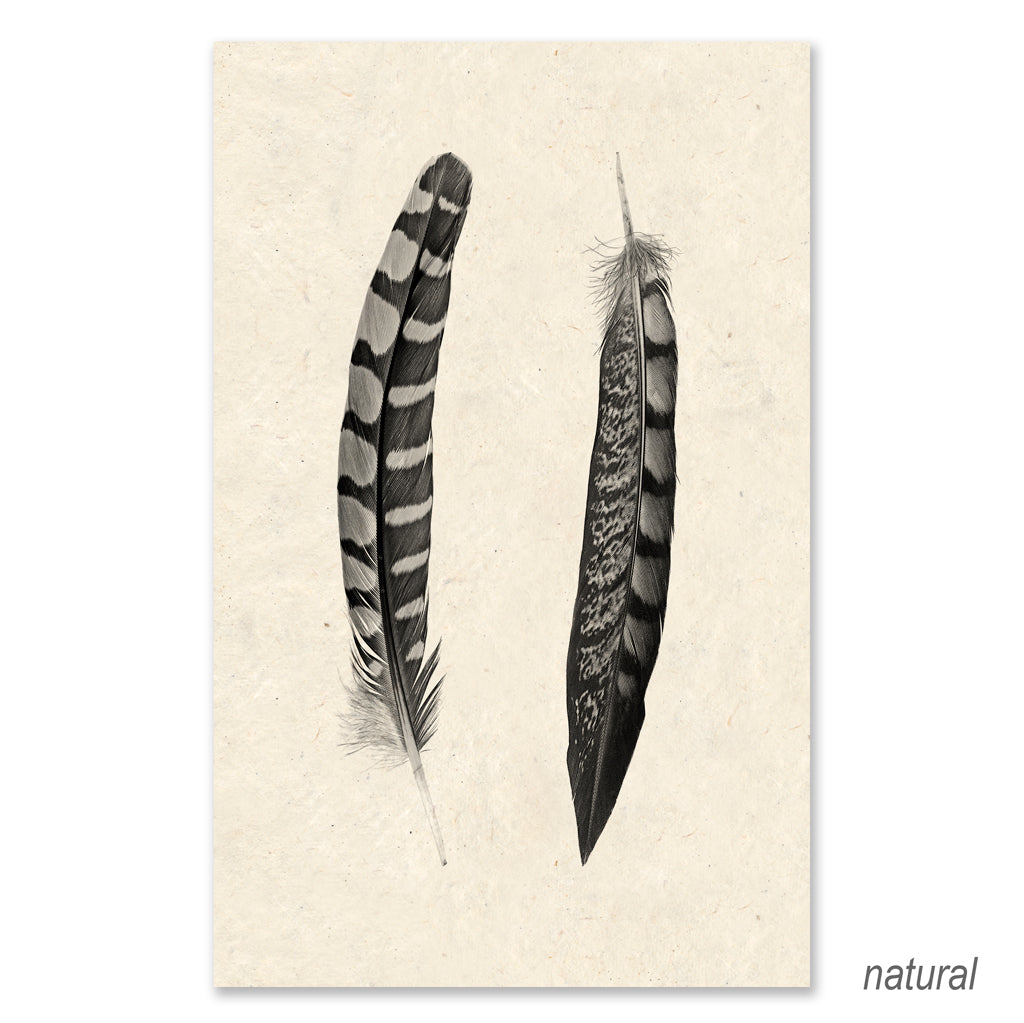 2 curved feathers grand format