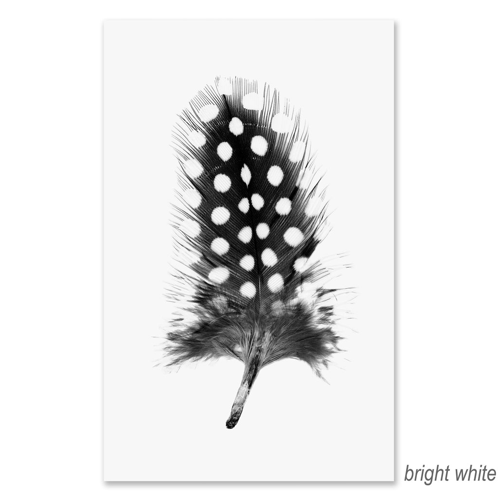 Feather #1 grand format