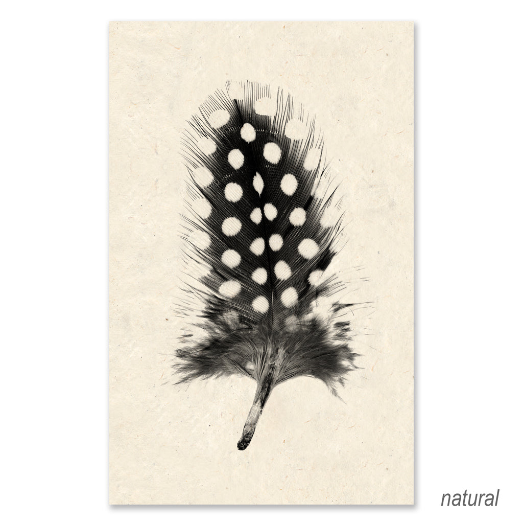 Feather #1 grand format