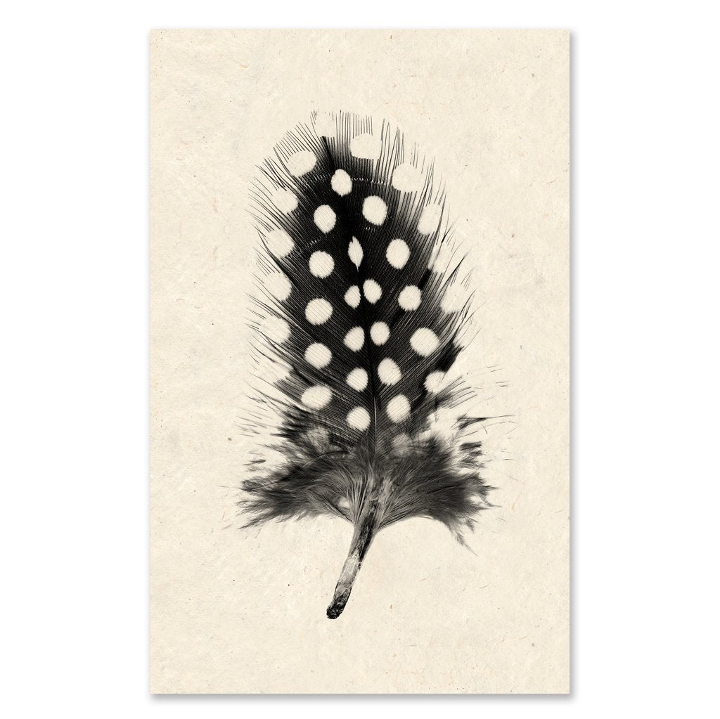 Feather #1 grand format