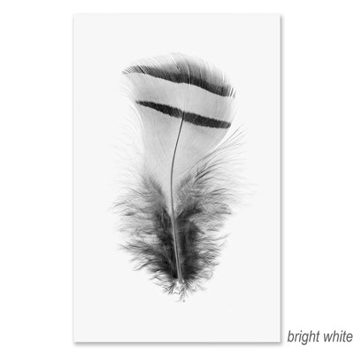 Feather #15 grand format