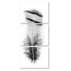Feather #15 Trilogy