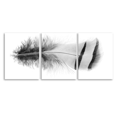 Feather #15 Trilogy