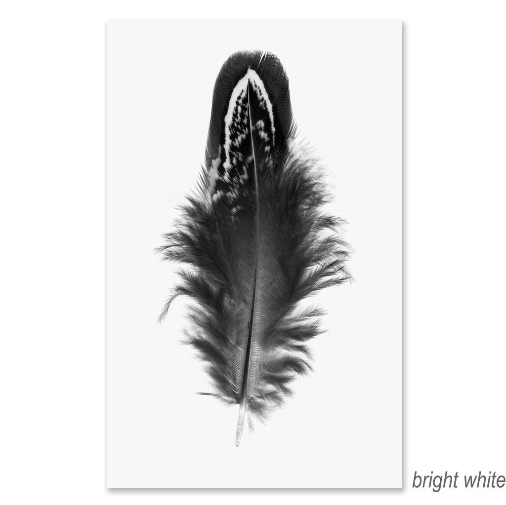 Feather #3 grand format