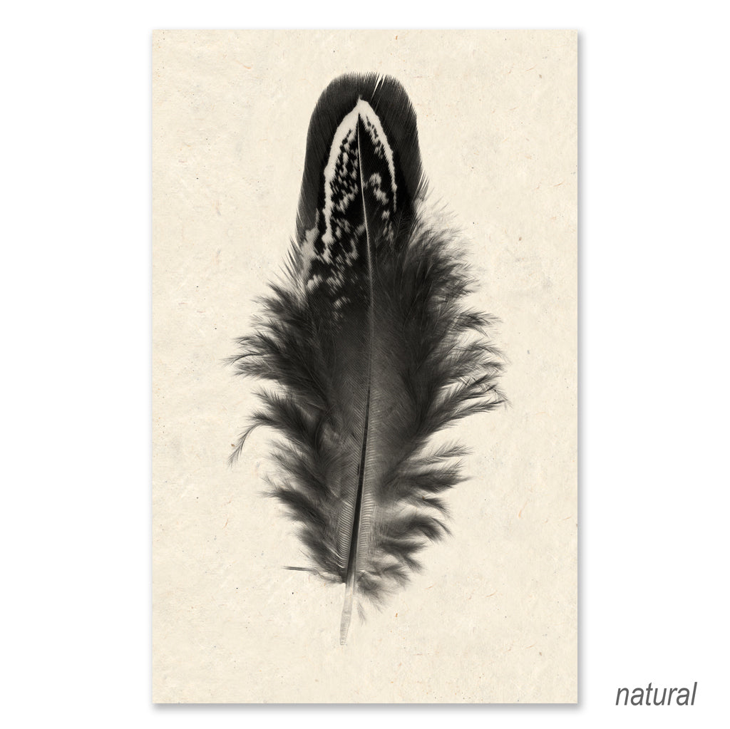 Feather #3 grand format