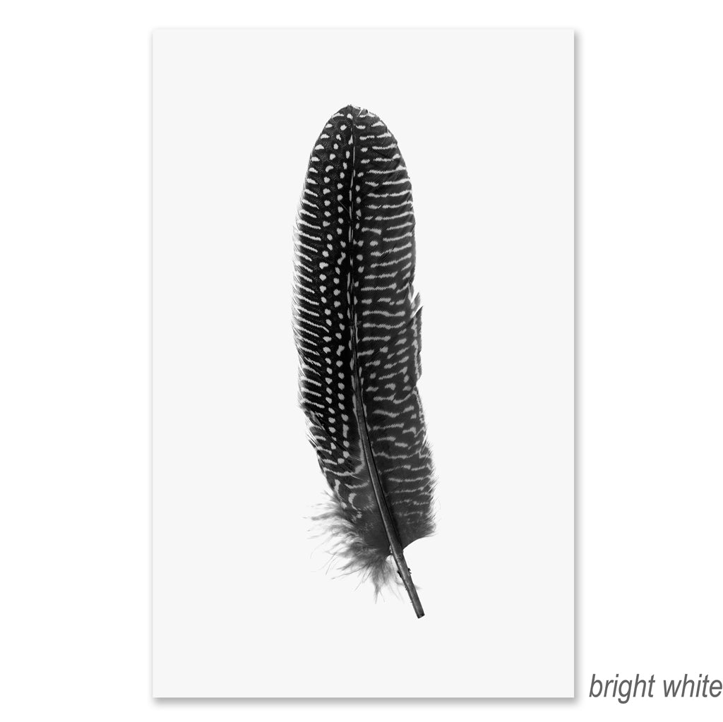 Feather #5 grand format