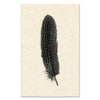 Feather #5 grand format