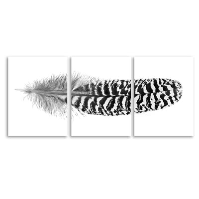 Feather #13 (Mottled Peacock Wing Quill) Trilogy