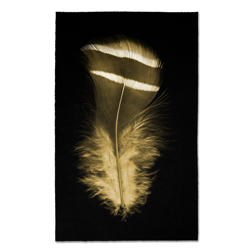 Kozo Noire Feathers