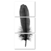 Feather #6 (Goose) Trilogy
