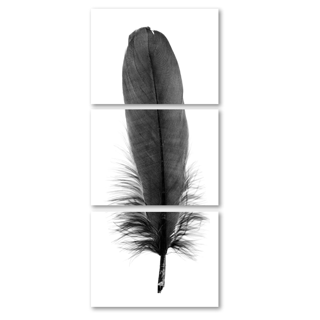 Feather #6 (Goose) Trilogy