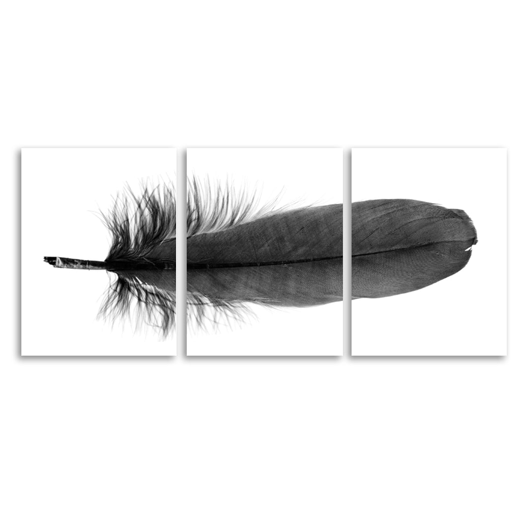 Feather #6 (Goose) Trilogy