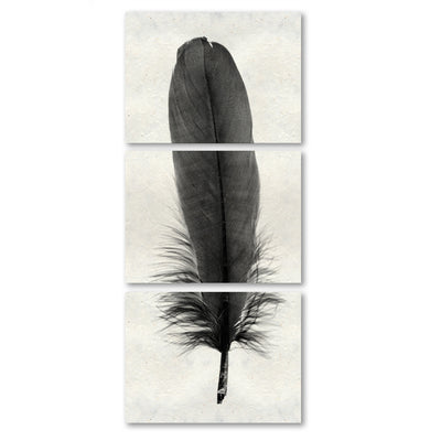 Feather #6 (Goose) Trilogy