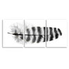 Feather #17 (Barred Rock Hen) Trilogy