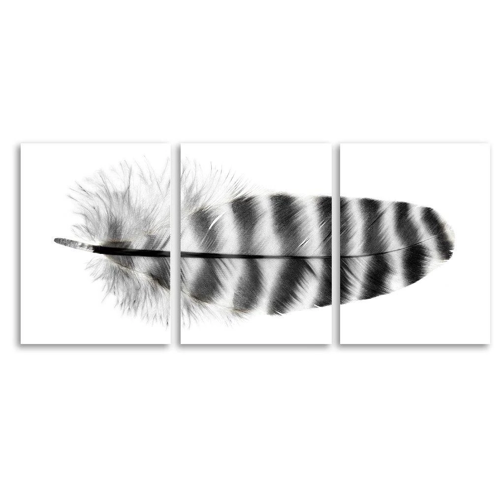 Feather #17 (Barred Rock Hen) Trilogy