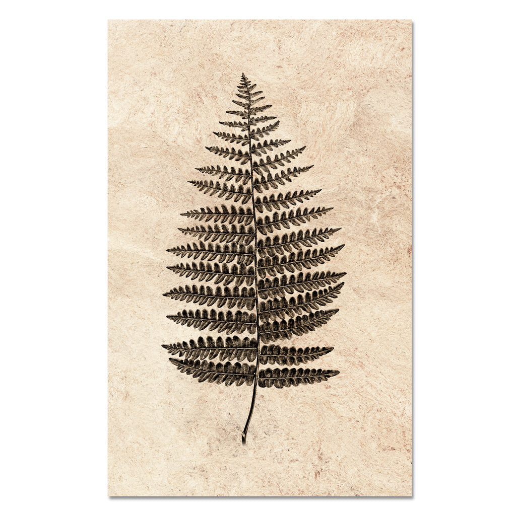 Kozo Amate Natural Forms