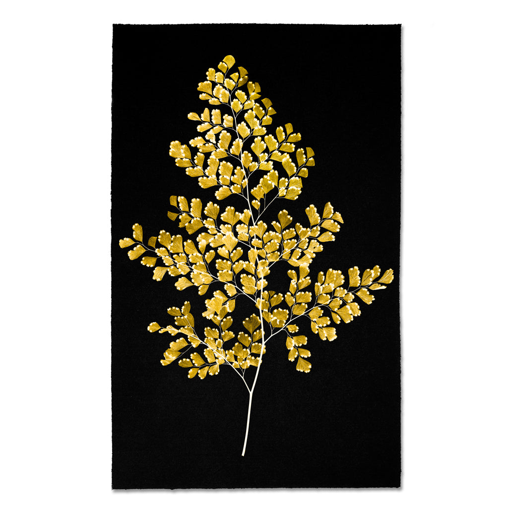 Kozo Noire Ferns