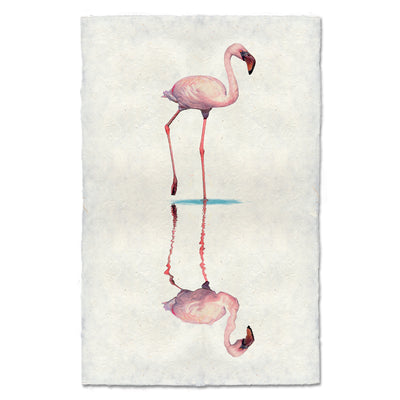 Flamingo #1