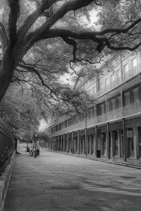 French Quarter Study #1- New Orleans, LA