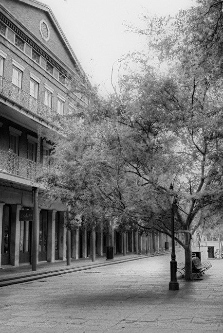 French Quarter Study #2 - New Orleans, LA