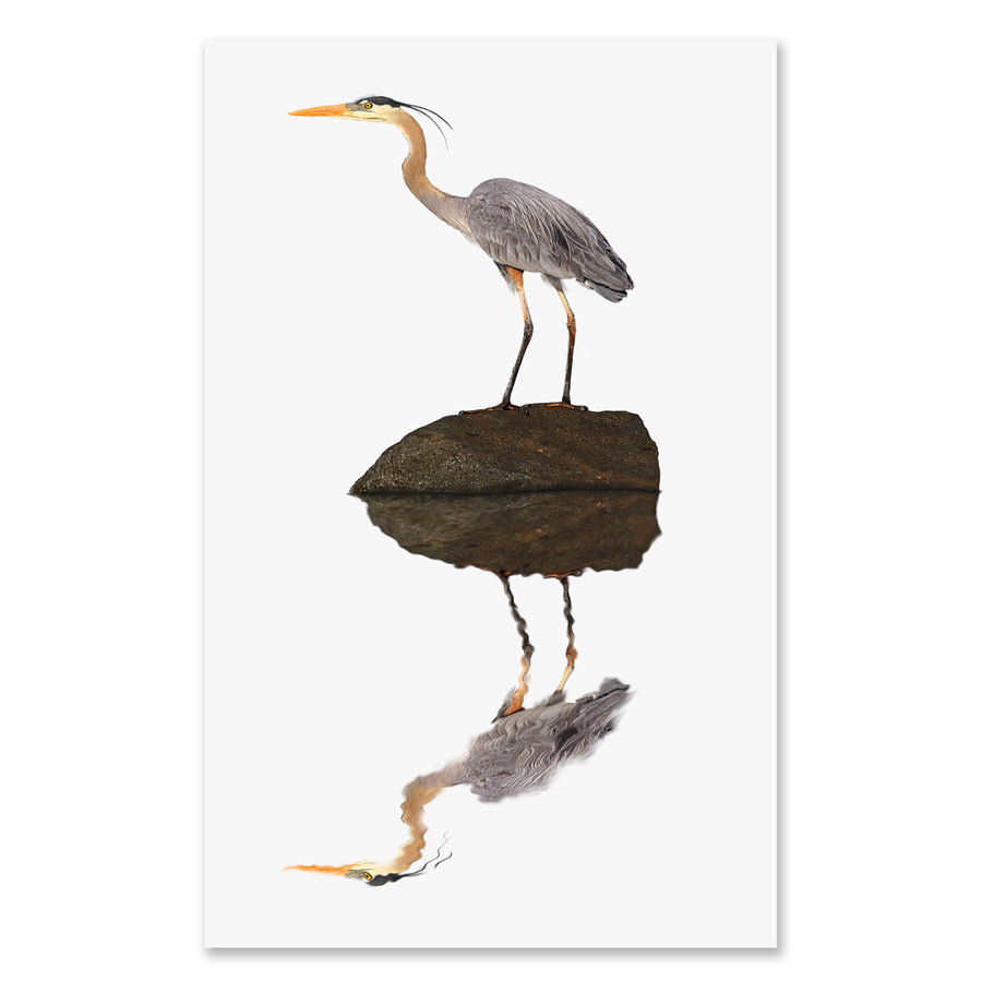 Great Blue Heron grand format