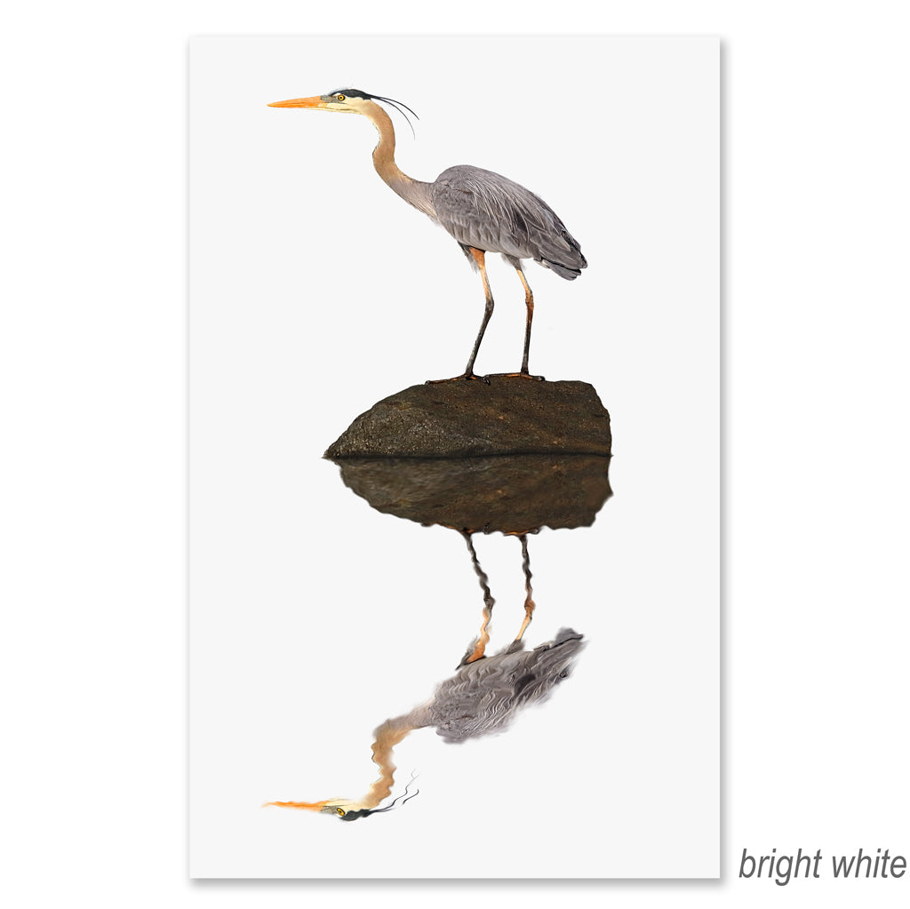 Great Blue Heron grand format
